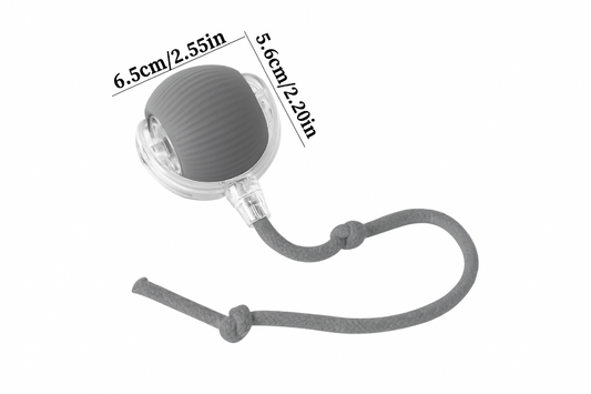 Jucărie Interactivă Smart, de Interior, pentru Pisici