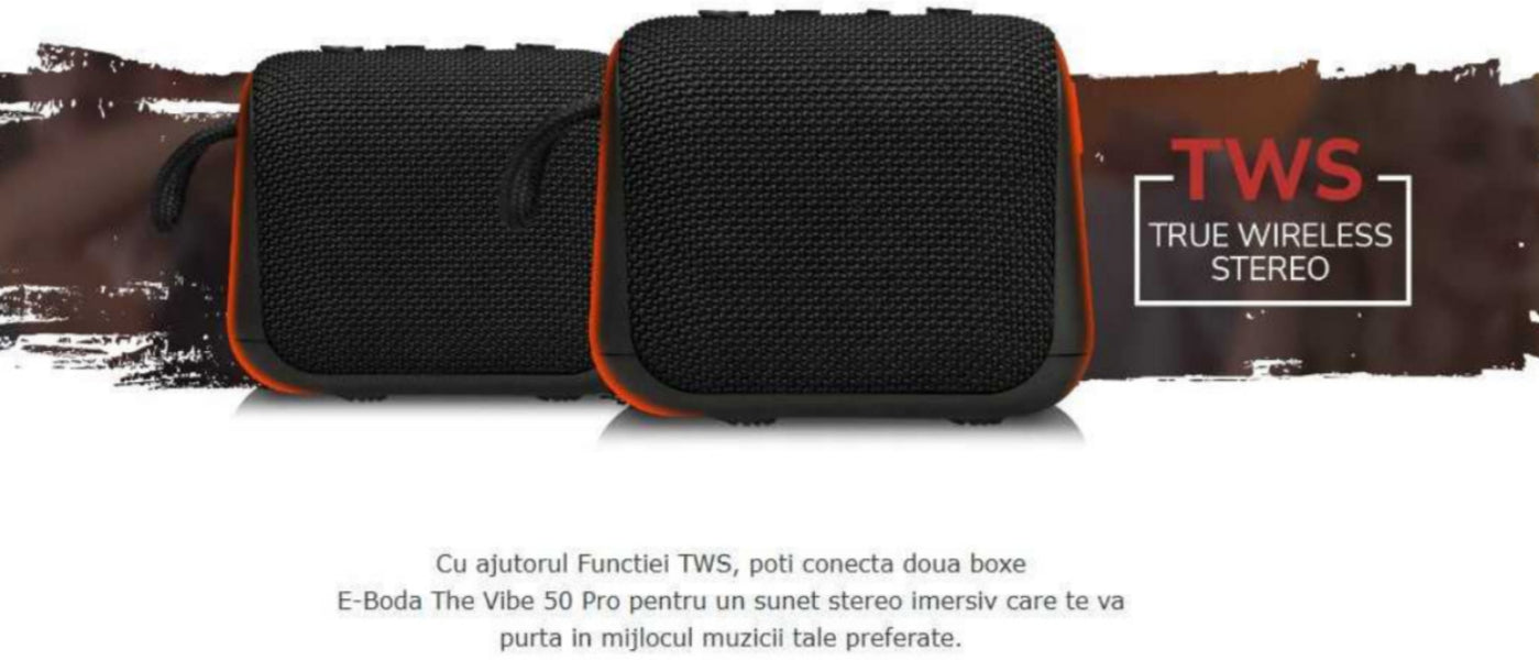 Boxă The Vibe 50