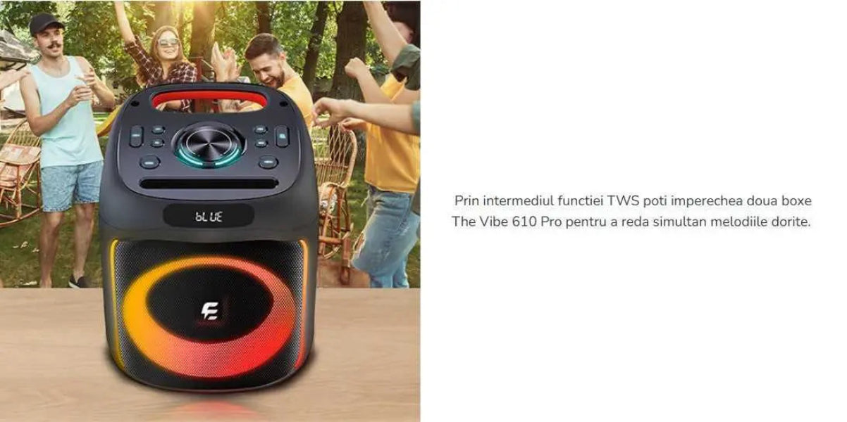 Boxă The Vibe 610